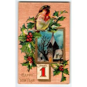 Vintage 1907-1915 New Year Postcard Robin & Snowy Church Lithograph